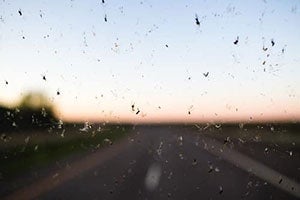 What Simoniz GlassCoat Covers